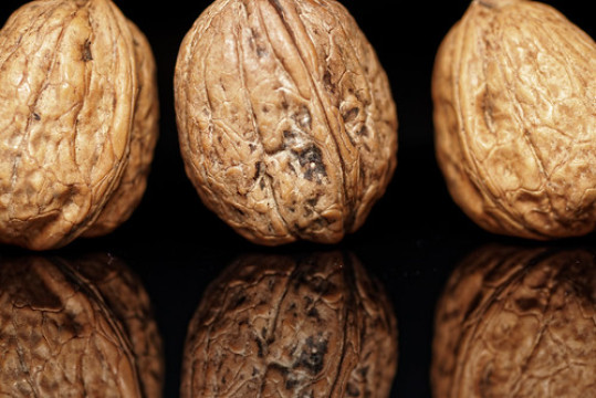 Photo by Pascal Volk