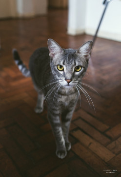 Photo by Pablo Zamora