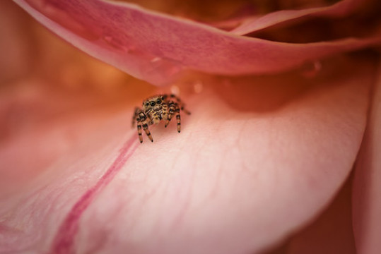 Photo by calphotography