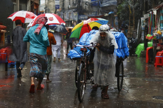 Photo by Shohrab Hossain