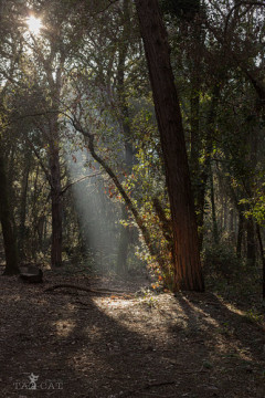 Photo by TAO-CAT (Rico &amp; Pia)