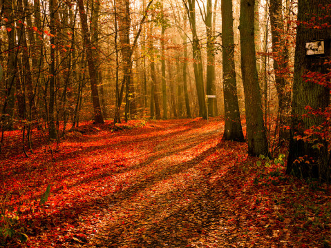 Photo by Artemiza Oita-Dragota