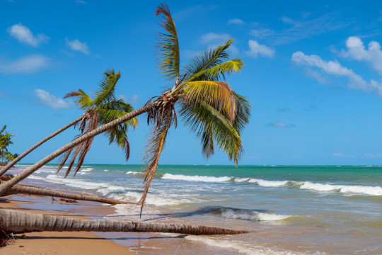 Photo by pedro vitale