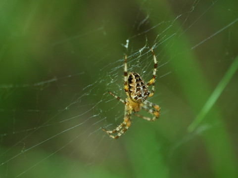 Photo by klangcharakter